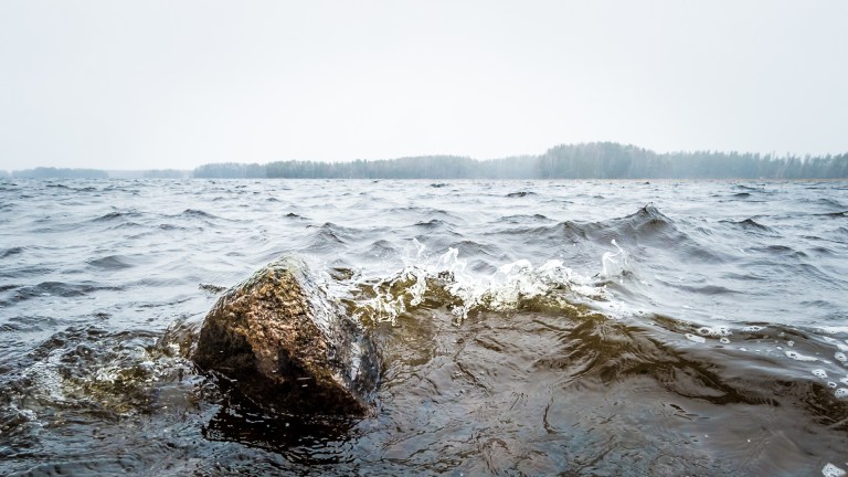 Elfhill _DSC9407-Edit