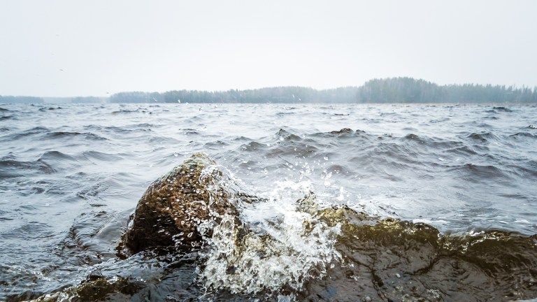 Elfhill _DSC9408-Edit